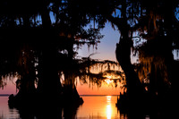 Louisiana Sunset