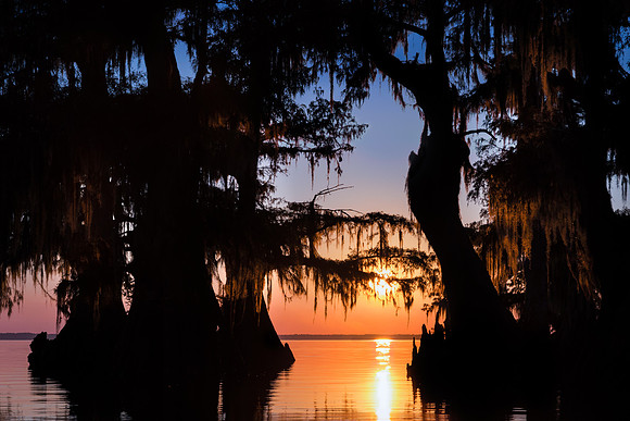 Louisiana Sunset