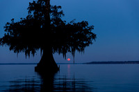 Louisiana Moonrise