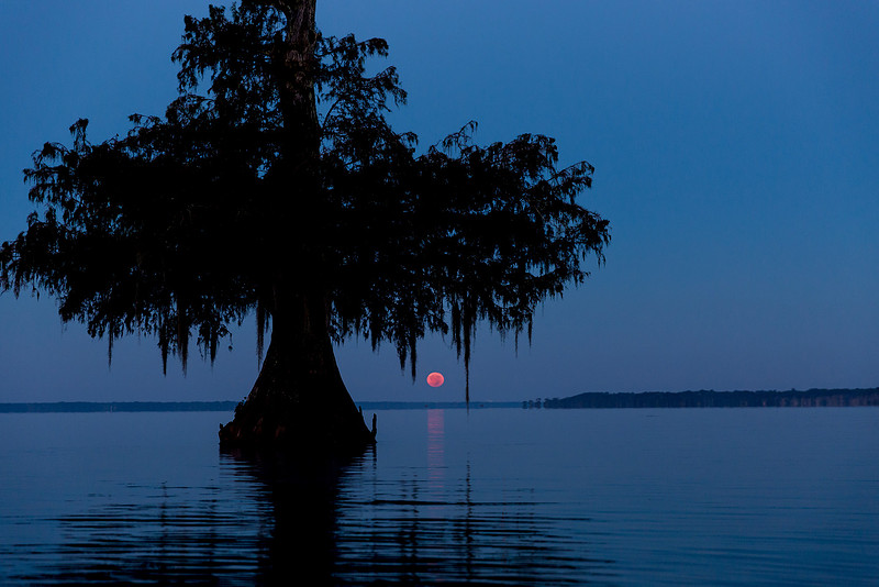 Louisiana Moonrise