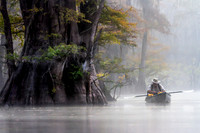 Peaceful Morning in the Bayou, Saint Catherine's Creek