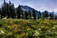 Crested Butte, Colorado