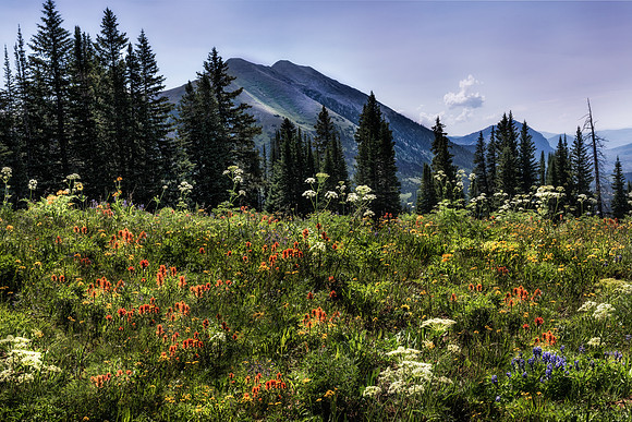 Crested Butte, Colorado
