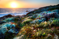 California Sunset
