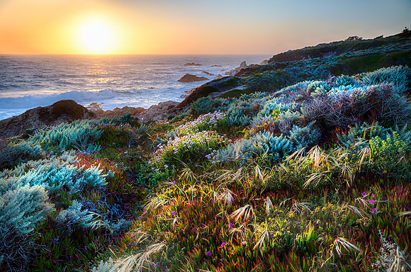 California Sunset