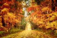 Autumn in Cincinnati