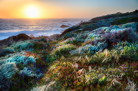 California Sunset along Highway One
