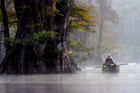 Peaceful Morning in the Bayou