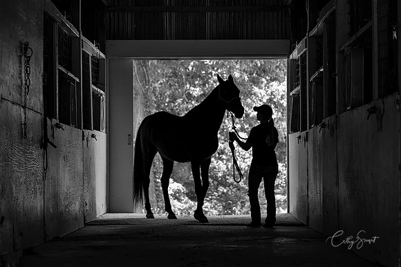 Saddling Up Anyway - Baton Rouge, Louisiana