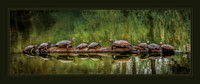 Family Reunion, Baton Rouge, Louisiana