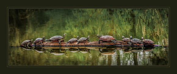 Family Reunion, Baton Rouge, Louisiana