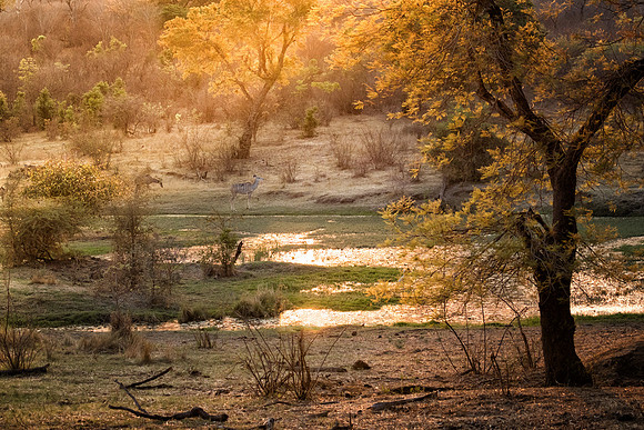 Sunset at Stanley & Livingston, Zimbabwe
