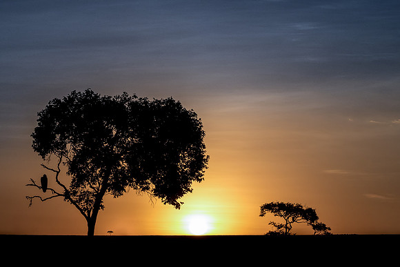 African sunset