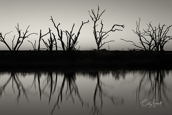 A Remnant, Cocodrie, Louisiana