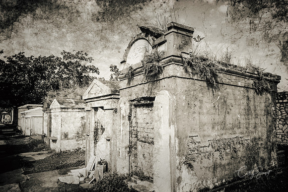 Cemetery, New Orleans, Louisiana
