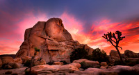 Intersection Rock - Joshua Tree National Park, California