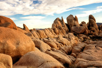 Joshua Tree National Park