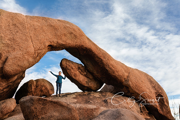 The Arch - Joshua Tree National Park