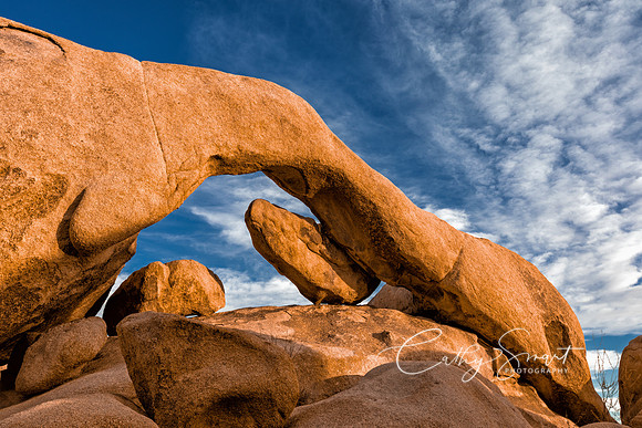 The Arch - Joshua Tree National Park, California